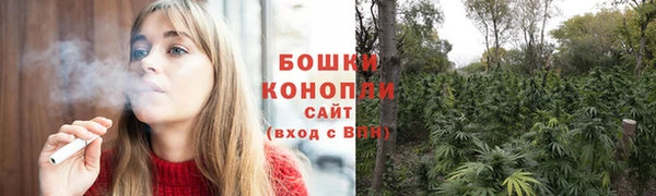 крисы Горно-Алтайск