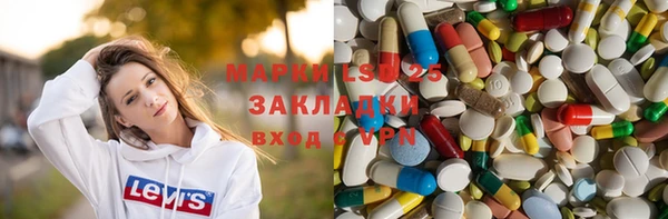 шишки Гусь-Хрустальный