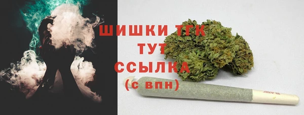 шишки Гусь-Хрустальный