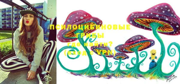 твердый Гусев