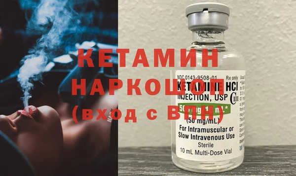 твердый Гусев