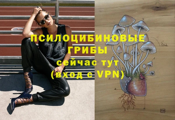 mix Гусиноозёрск